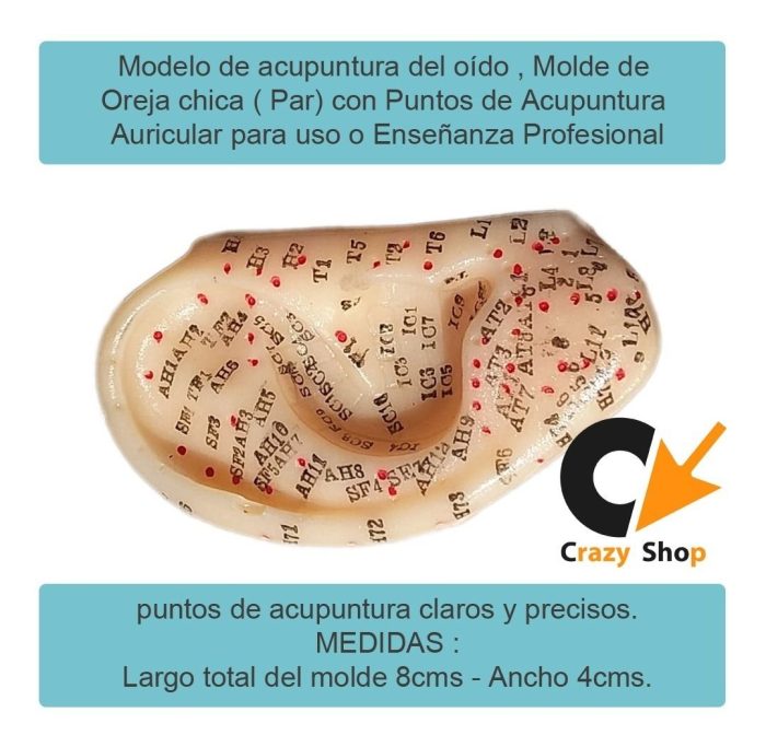 Oreja Con Puntos De Auriculoterapia Chica Par - Imagen 3