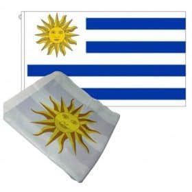 Bandera De Uruguay En Tela 90 X 60 Cm X 5 Unidades