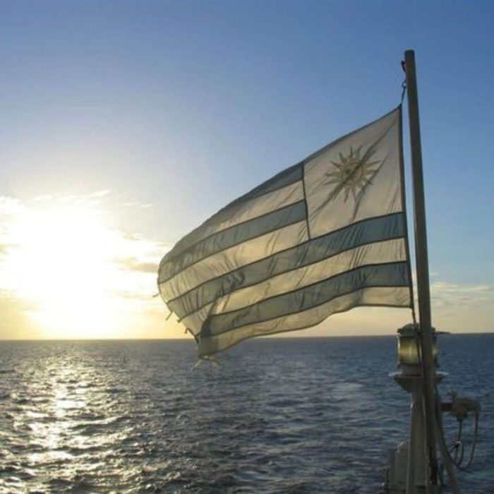 Bandera De Uruguay En Tela 90 X 60 Cm X 5 Unidades - Imagen 4