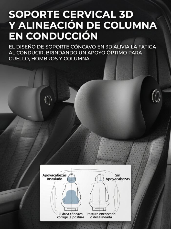 Set almohada de cuello y cojín lumbar